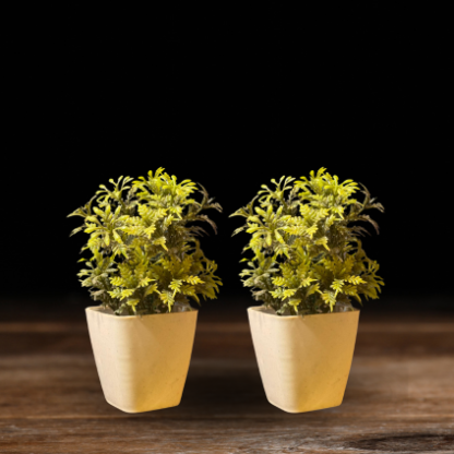 Pack of 2 Decorative Artificial Green Plant