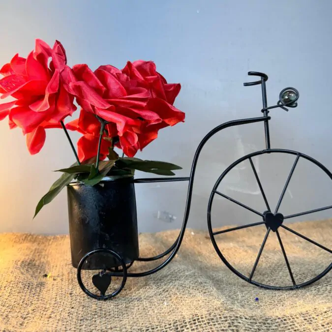 Artificial Black Cycle and Red Rose